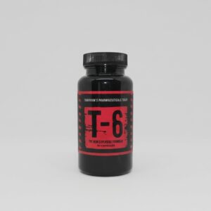T-6 ZINO LABS 60CAPS